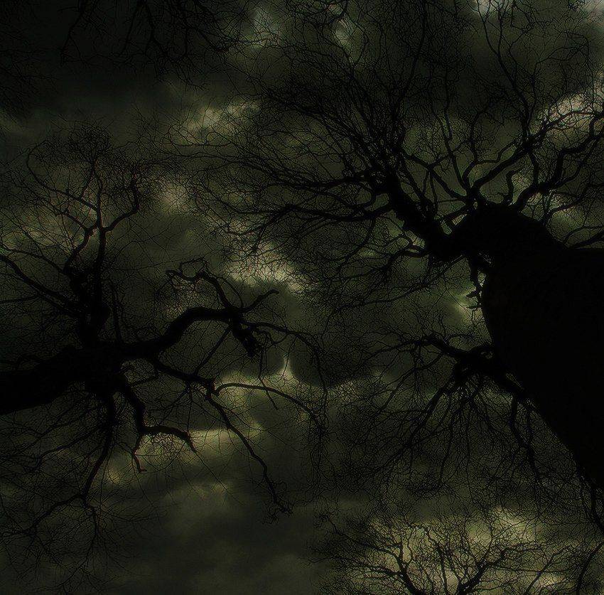 , Михаил  Пилипенко