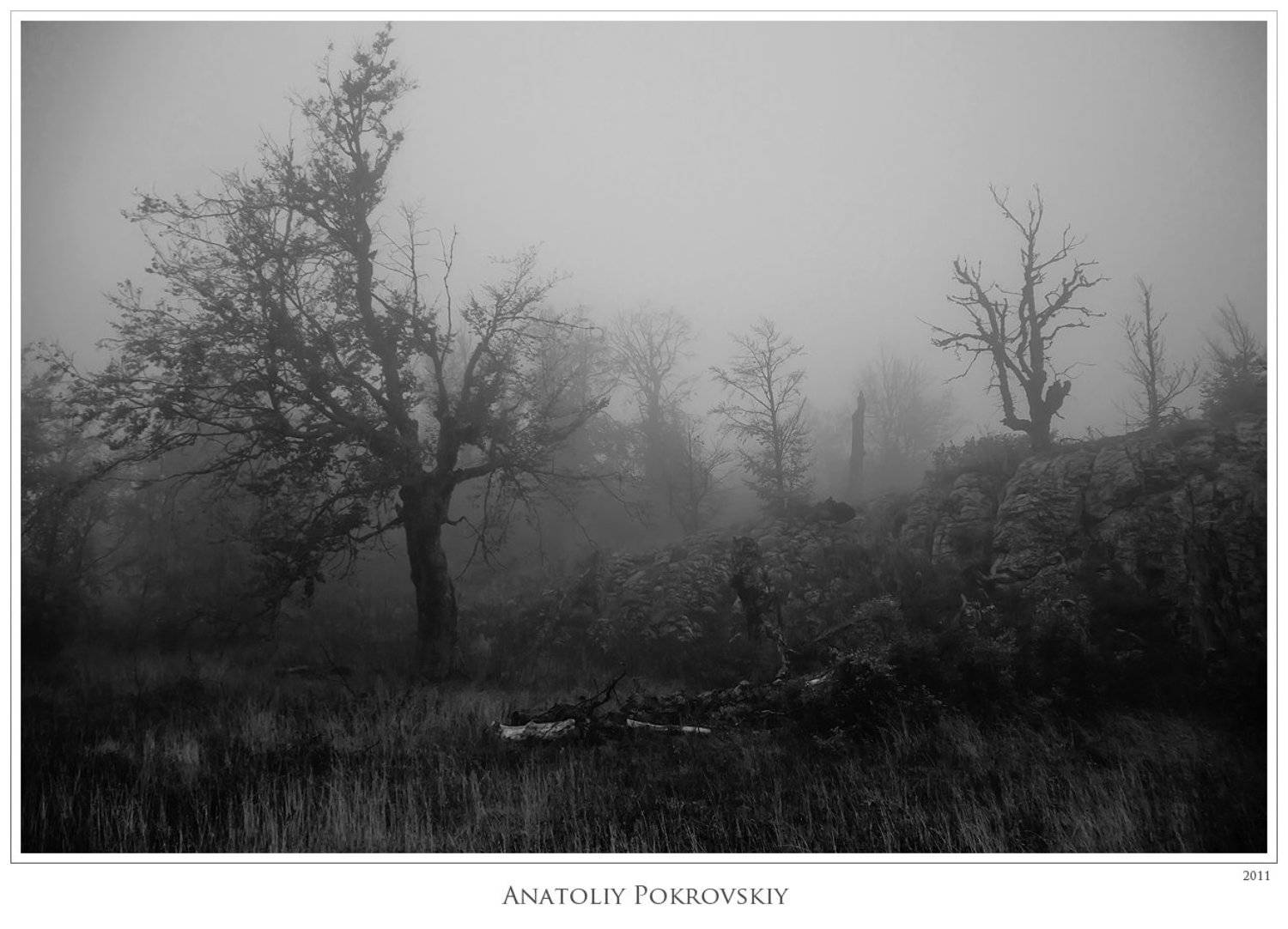 крым, горы, демерджи, туман, осень, деревья, анатолий покровский, Анатолий Покровский