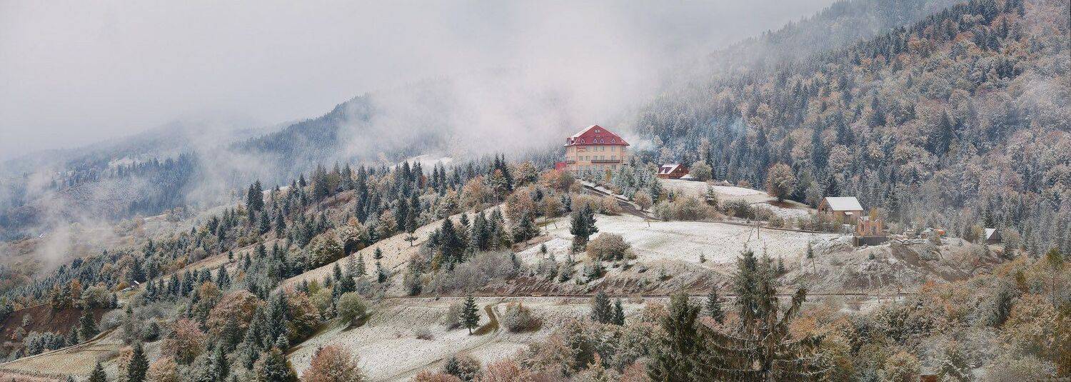 , Вейзе Максим