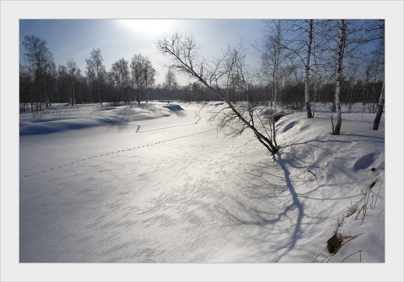 У зимней реки фото превью