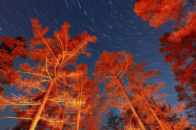 ural, taiga, road, forest, autumn, star, astronomy Вечер у костра фото превью