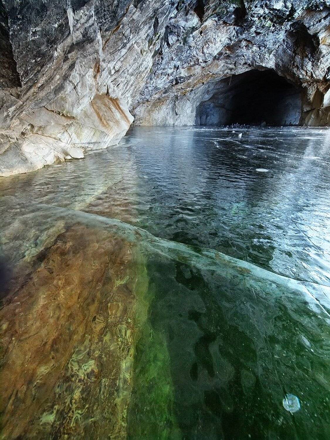 , Максим Евдокимов