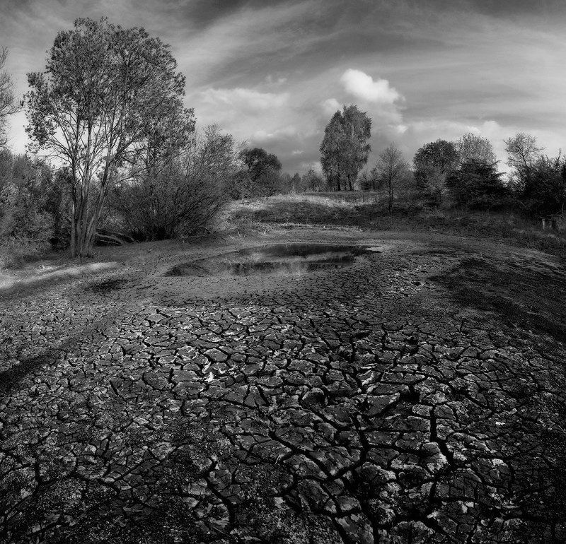 Про экологию... фото превью