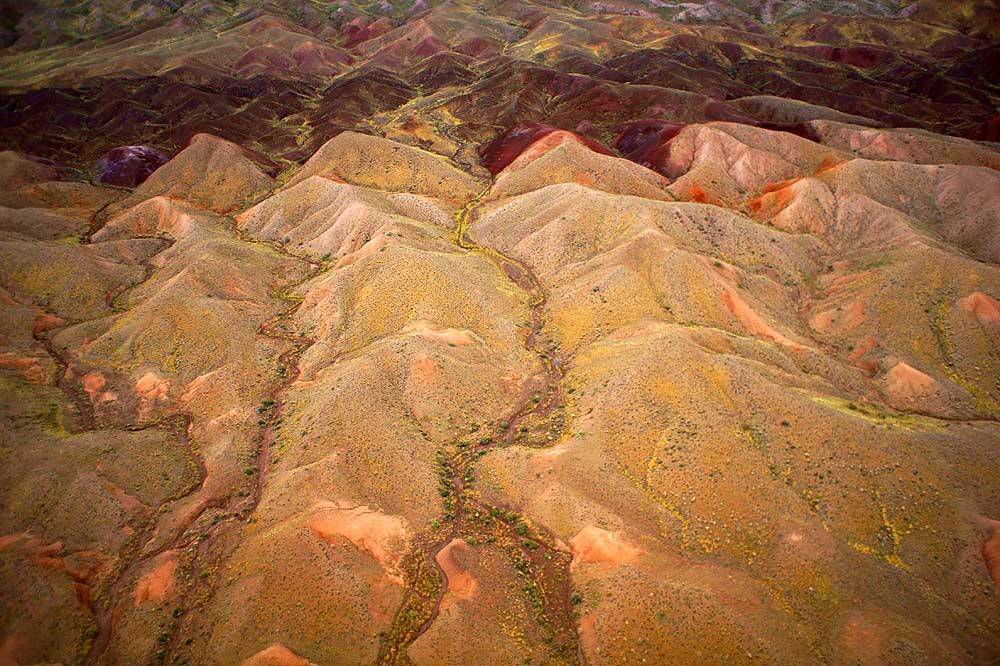 казахстан, жаркент, аэро, Борис Резванцев