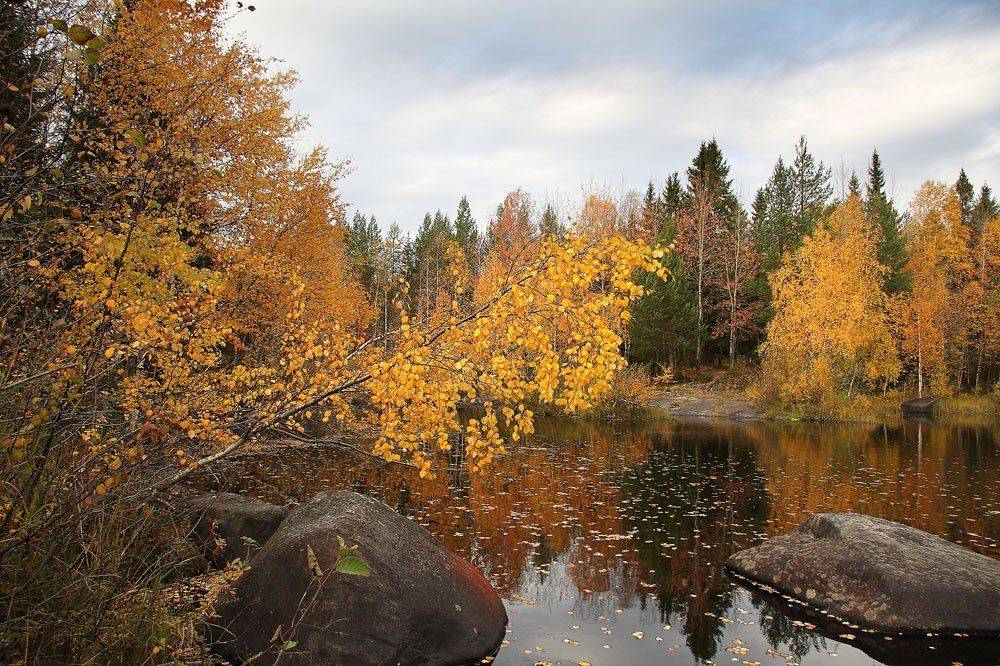 , Александр Коротков