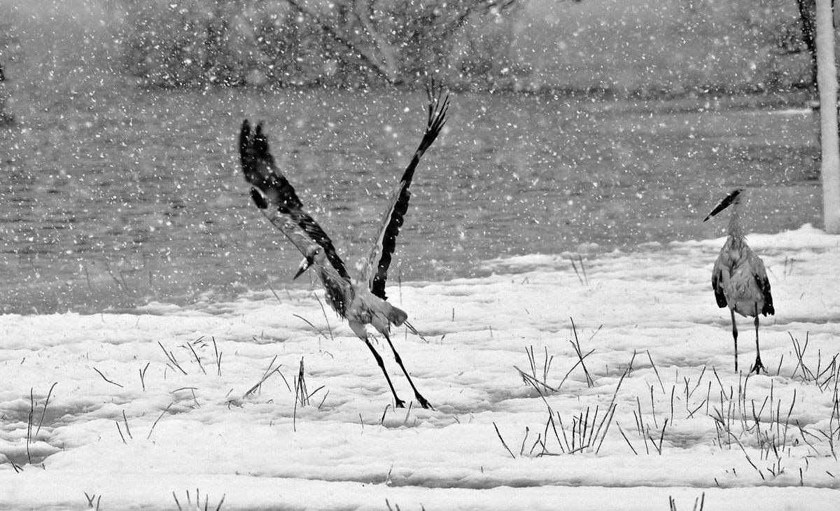 , Валерий Кондратов