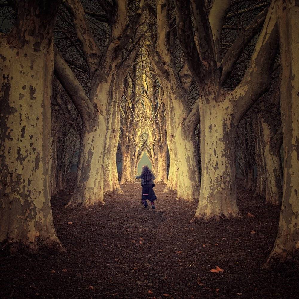 mist, forest, girl, light, tree, running, fallow, bycicling, Caras Ionut