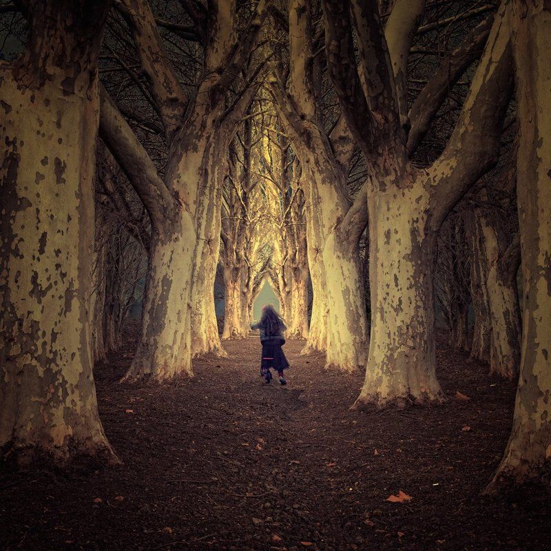 Fallow me, we will escape from here фото превью