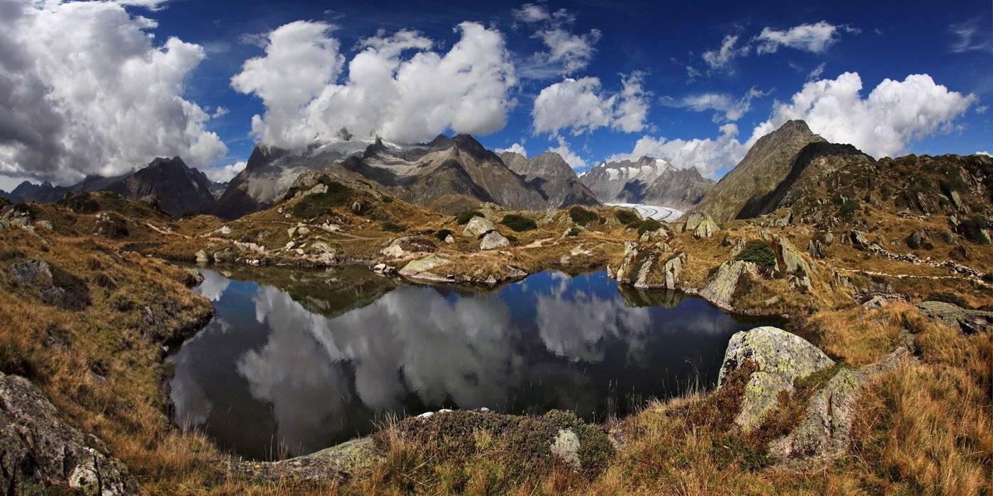 swiss, Матвеев Николай