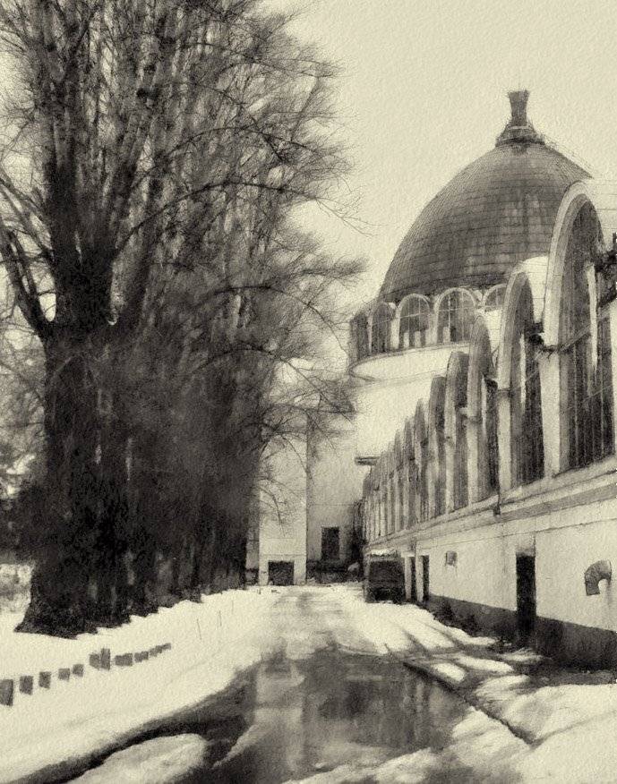 москва, Юлия Володина