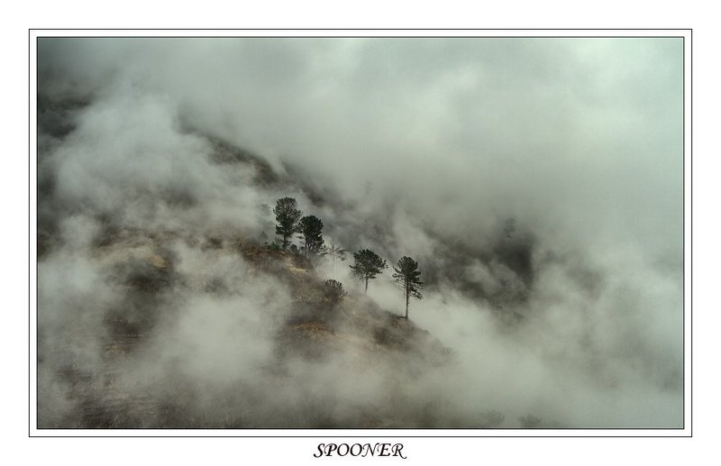 * * * фото превью