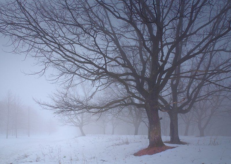 УТРО В ВИННОВКЕ. ЕЩЕ ОДНО фото превью