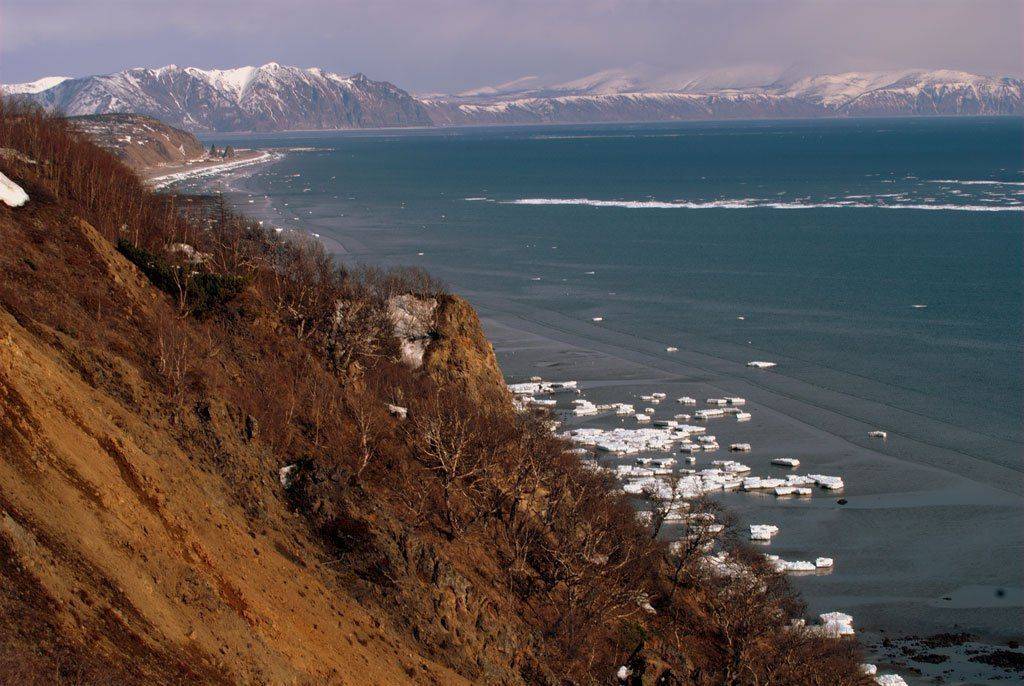 весна., Surgeon