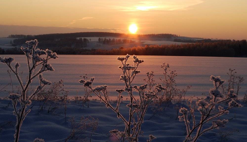 , Николай Морский
