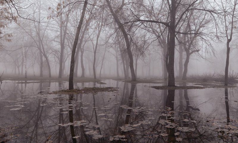 Весеннее утро в парке фото превью
