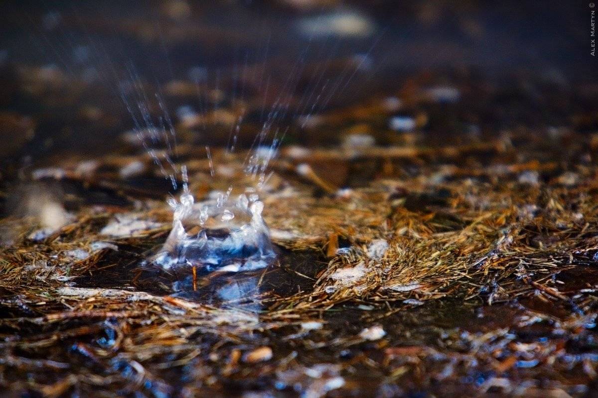 весна, капель, Alexander Martynov