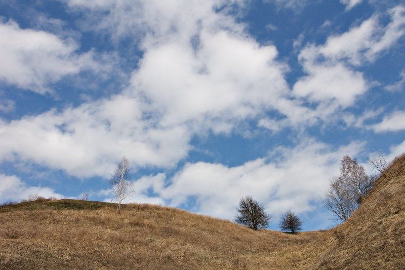 небо, облака, деревья, волна Дрейфуя по волнам фото превью
