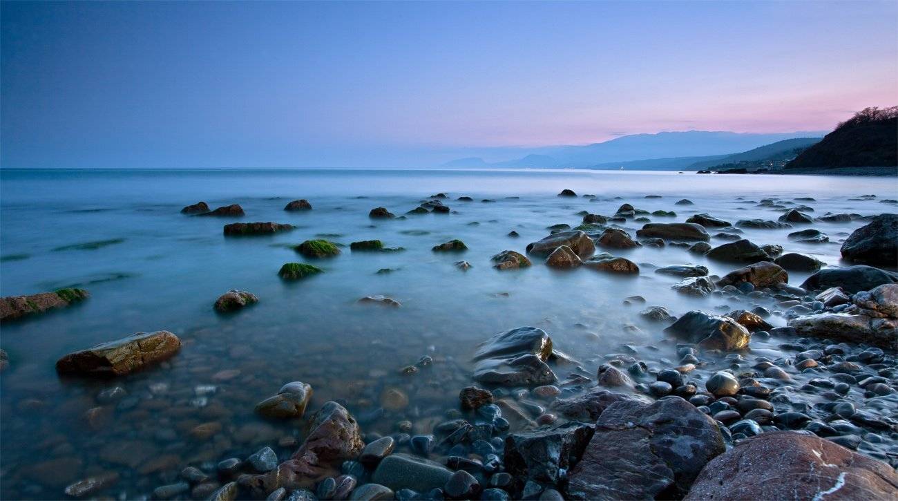 , Станислав Савицкий