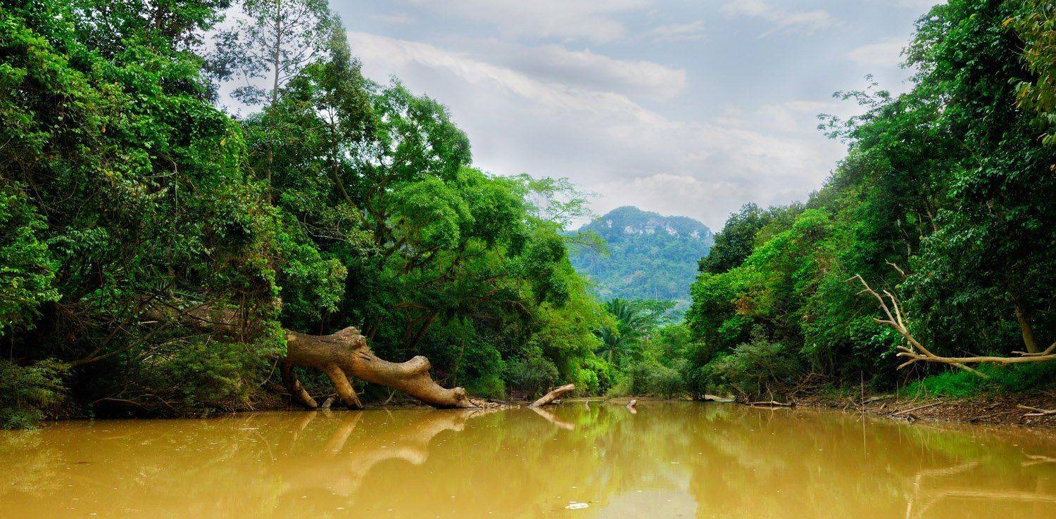 , Вадим Кузьмичев