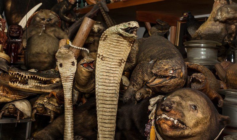 да мы просто зашли матрёшку купить фото превью