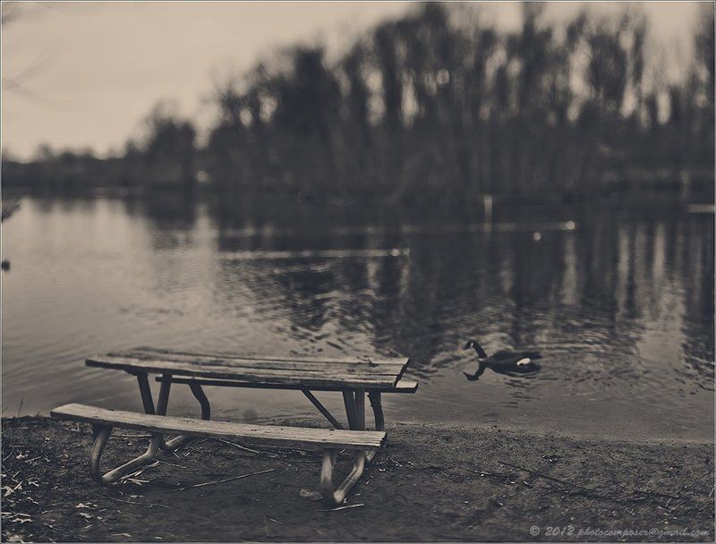 Alone... фото превью