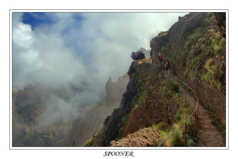 * * * фото превью