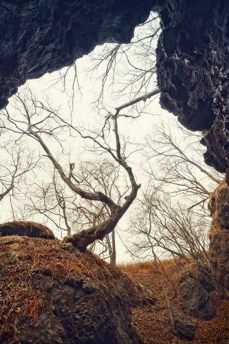 В безмолвии..