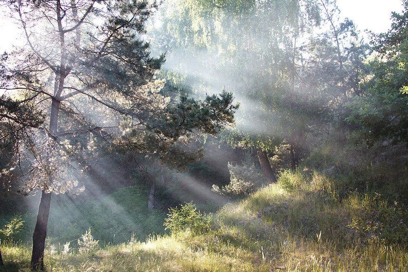 ... фото превью