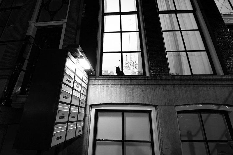 амтердам За окном фото превью