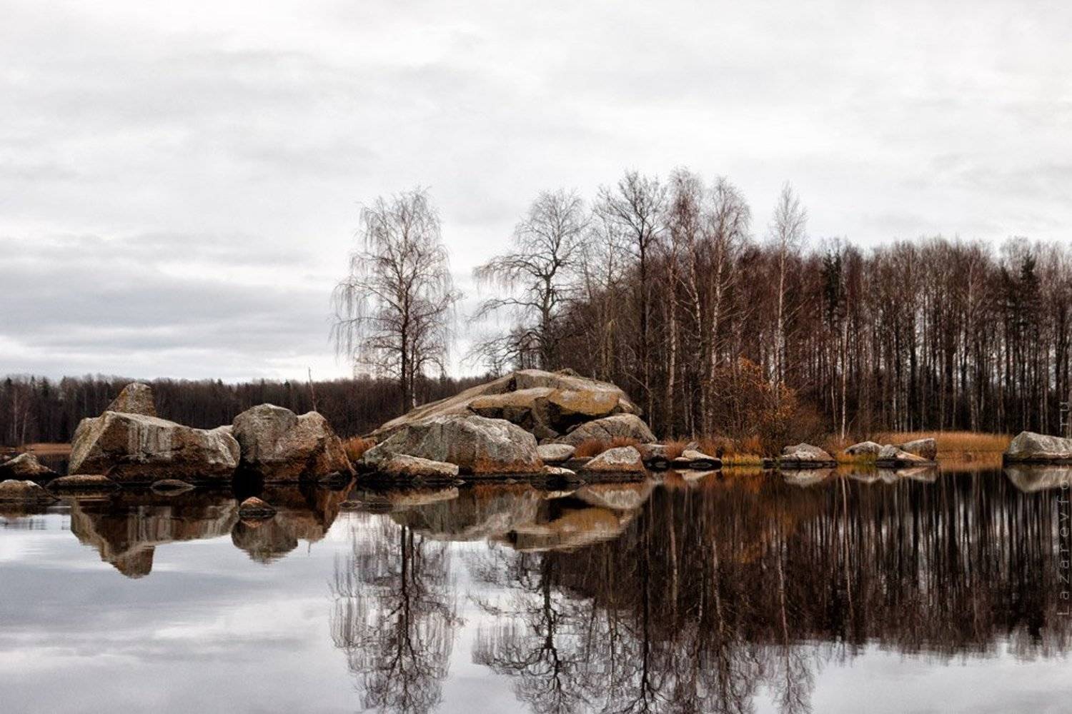 , Лазарев Александр