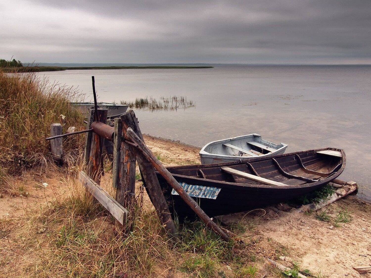 , Максим Евдокимов