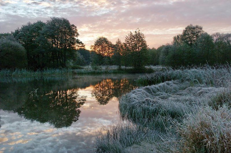 ... фото превью
