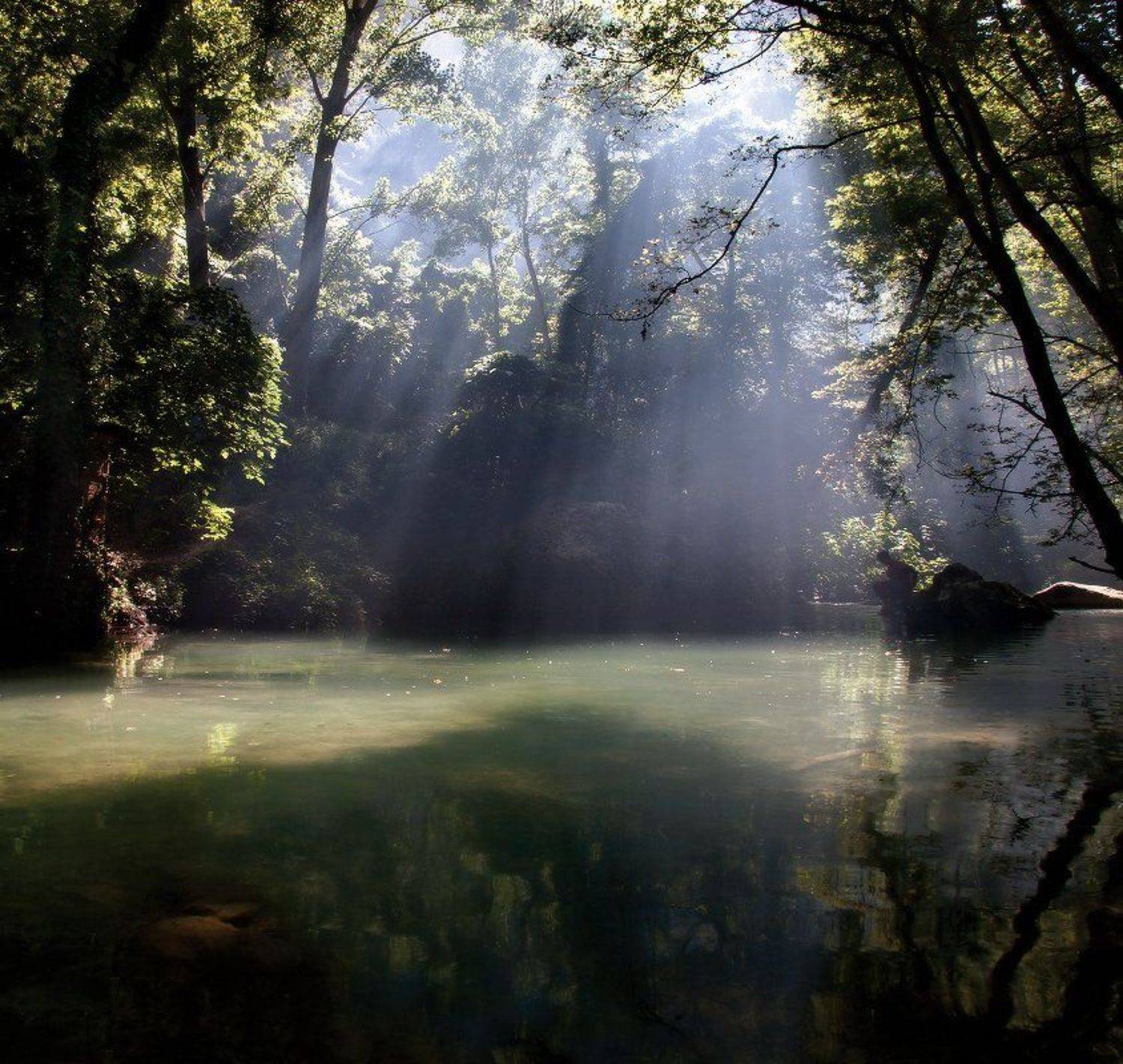 , Гамидов Мурад