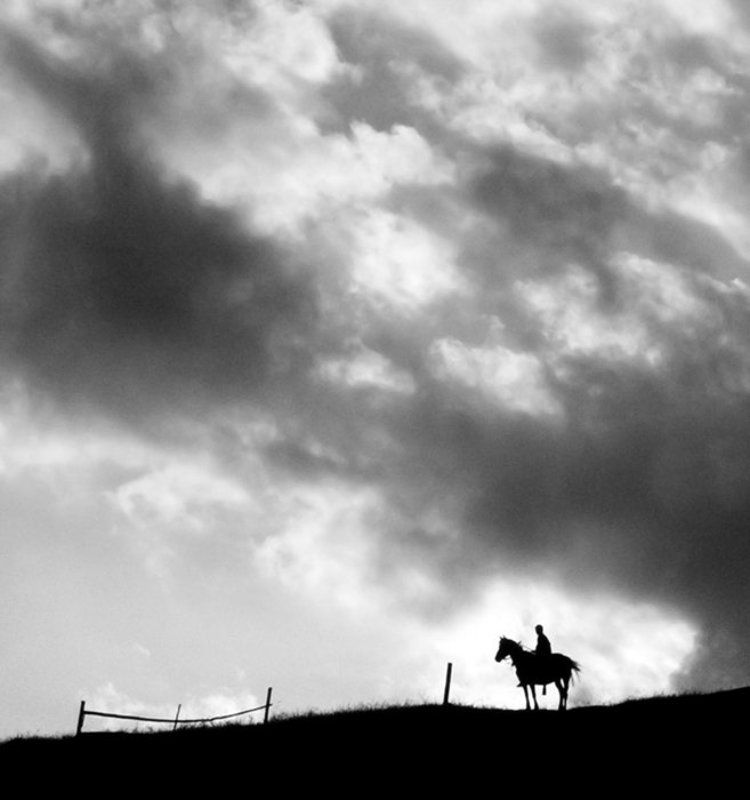 карпаты, всадник, лошадь * * * фото превью