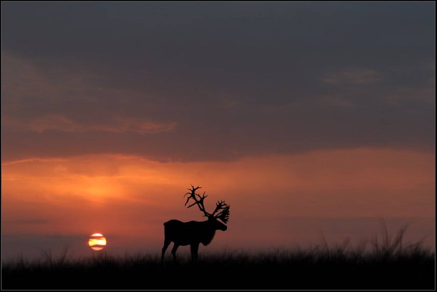 , Вадим Трунов