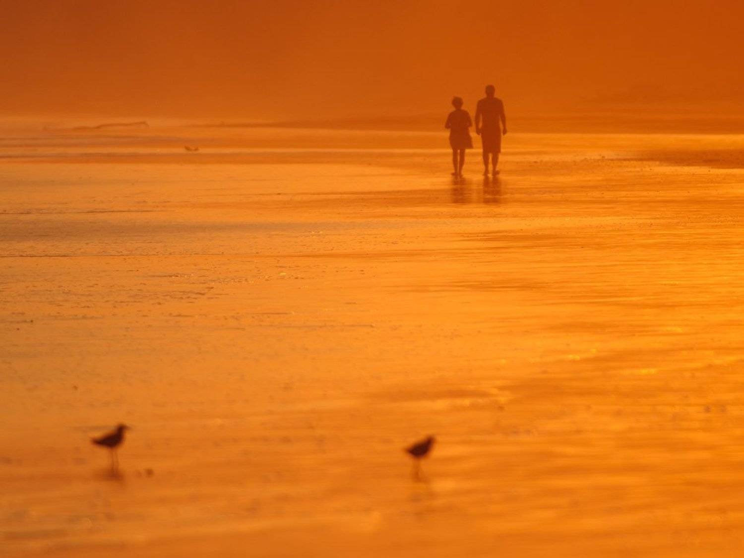 коста-рика, Александр Константинов