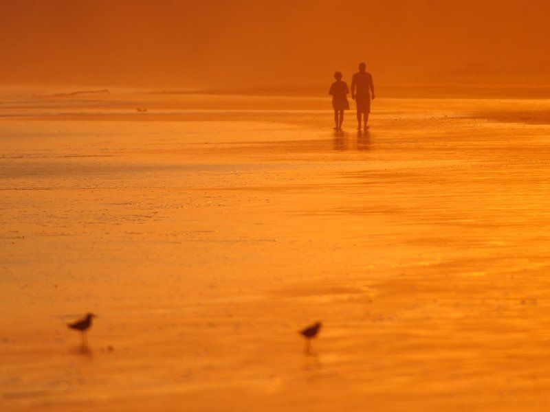 коста-рика Оранжевый мир фото превью