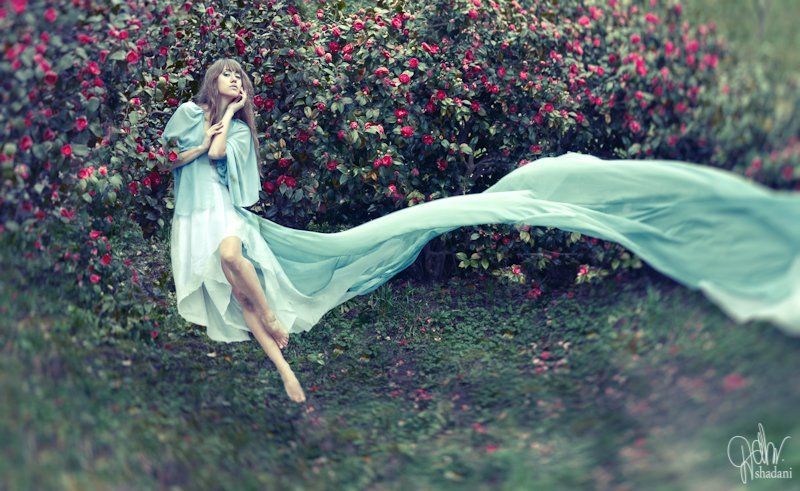 Fly High фото превью