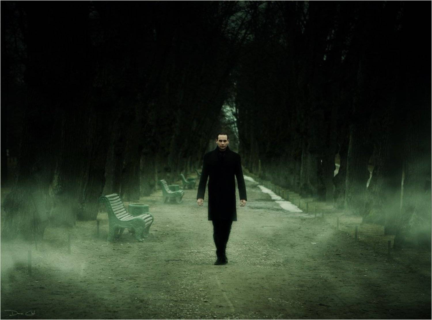 мужчина, портрет, аллея, туман, Darn Cat