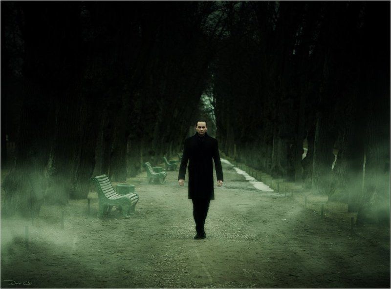 мужчина, портрет, аллея, туман  фото превью