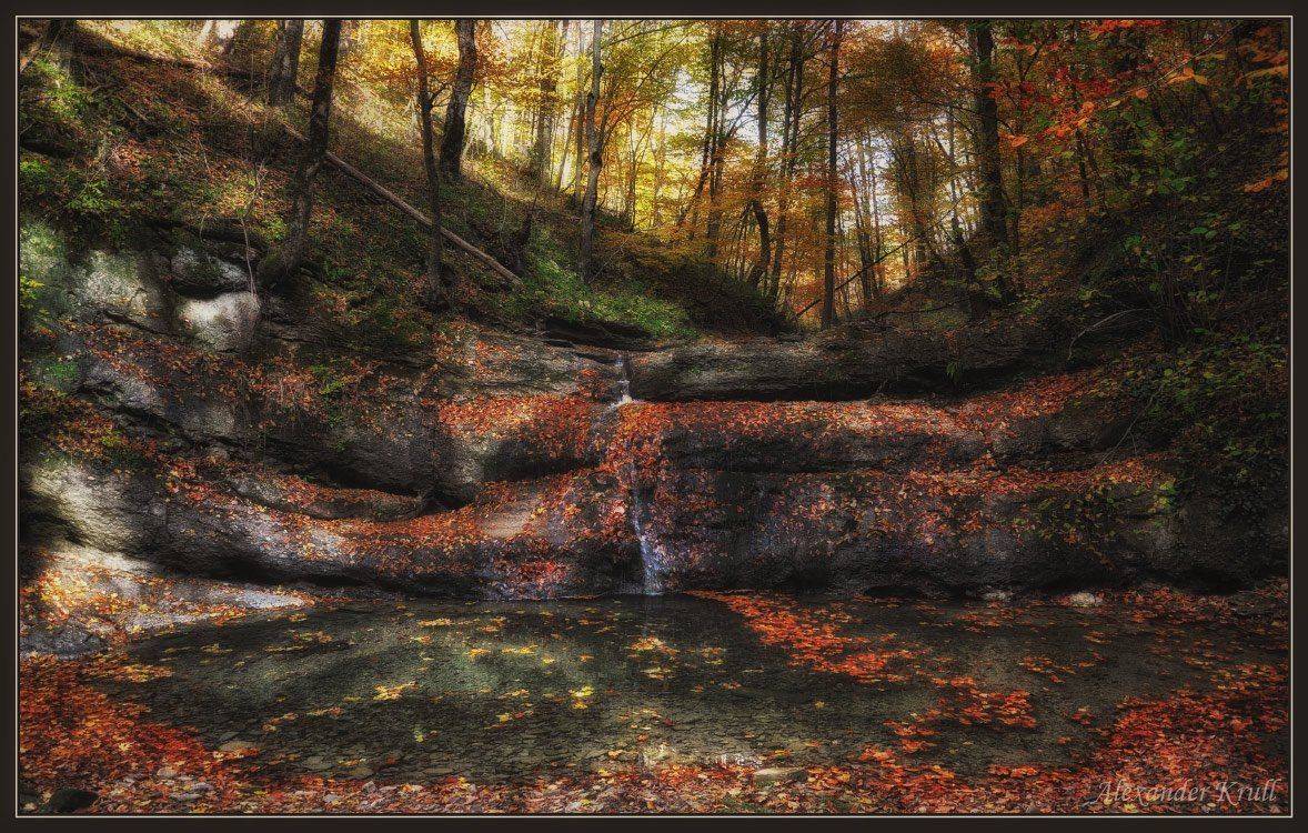 осень, ручей, русло, Александр Круль