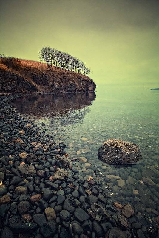 море, камни, деревья, скалы, Андрей Кровлин