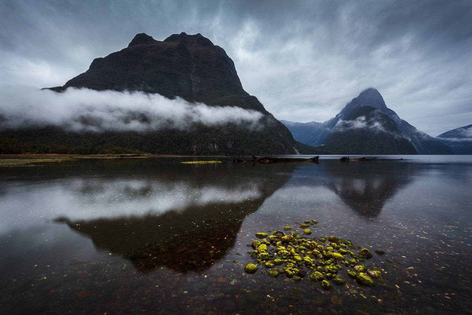 , Надежда Звягина / New Zealand