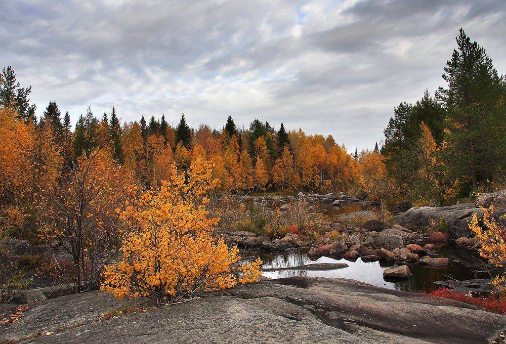 , Александр Коротков