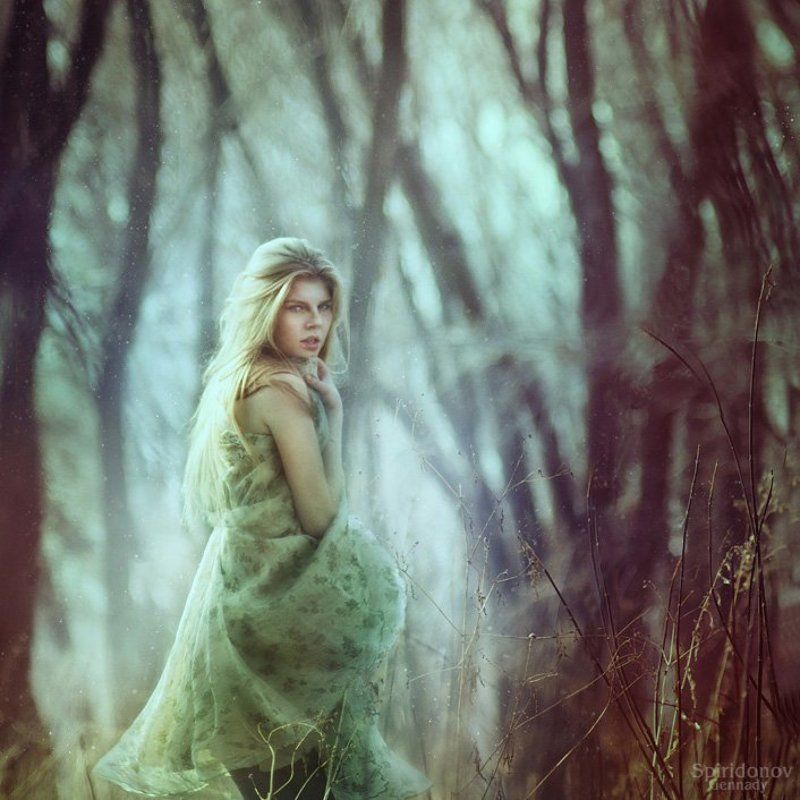 Сhronicle фото превью