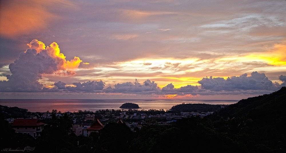 , Чаадаева Анна