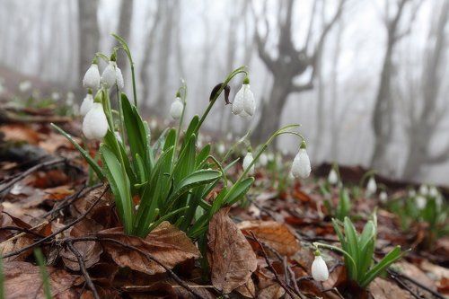 Начало апреля, Крым