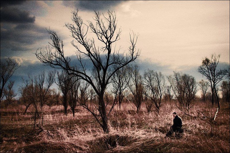 дерево Один... фото превью