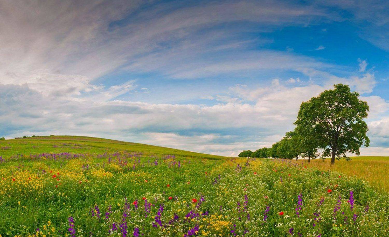 , Philip Peynerdjiev