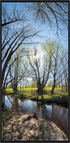 Графика весны